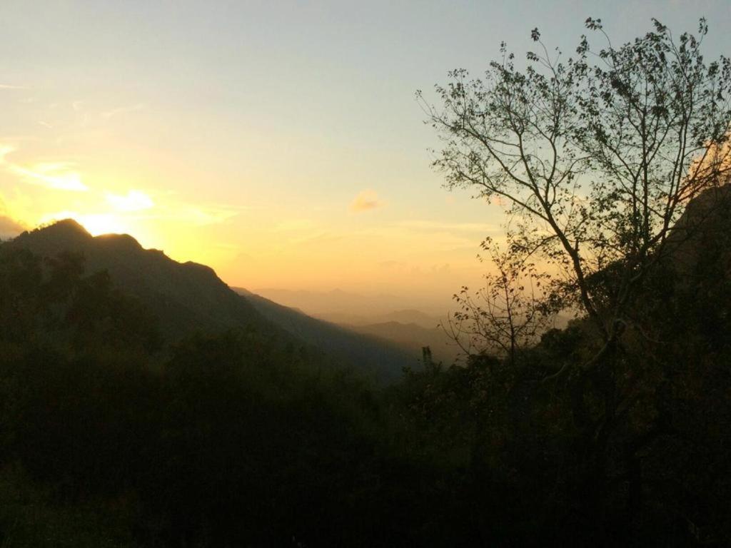 Minthu Homestay 埃拉 外观 照片