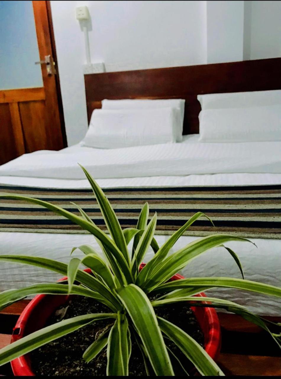 Minthu Homestay 埃拉 外观 照片