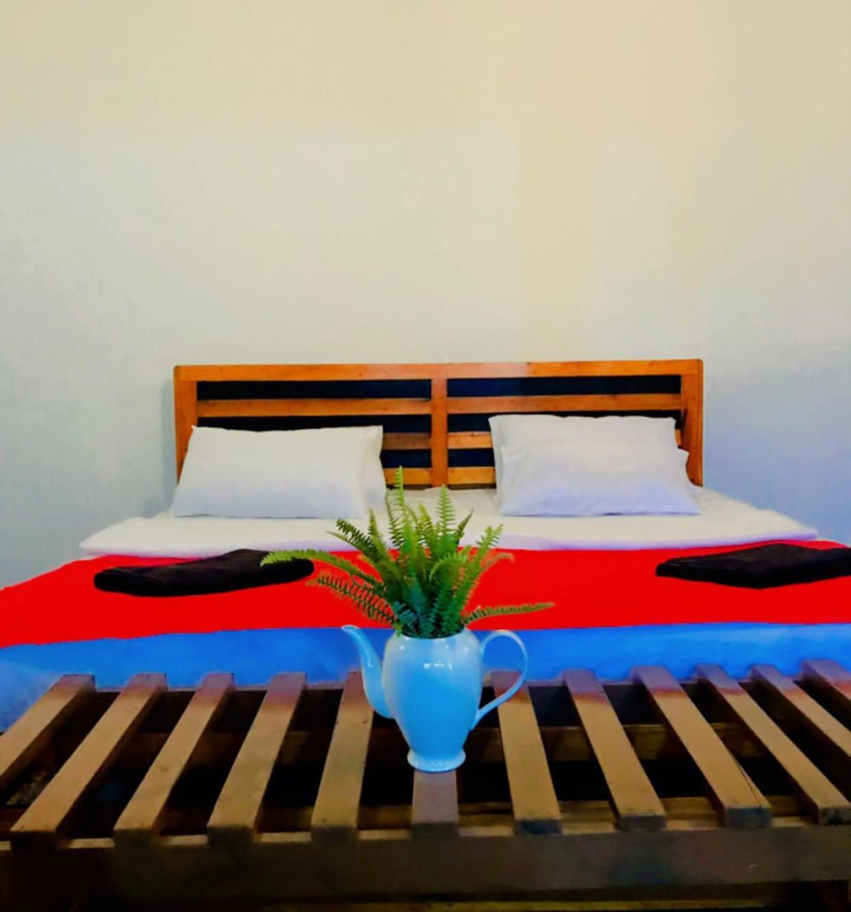 Minthu Homestay 埃拉 外观 照片